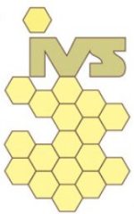 logo-ivs